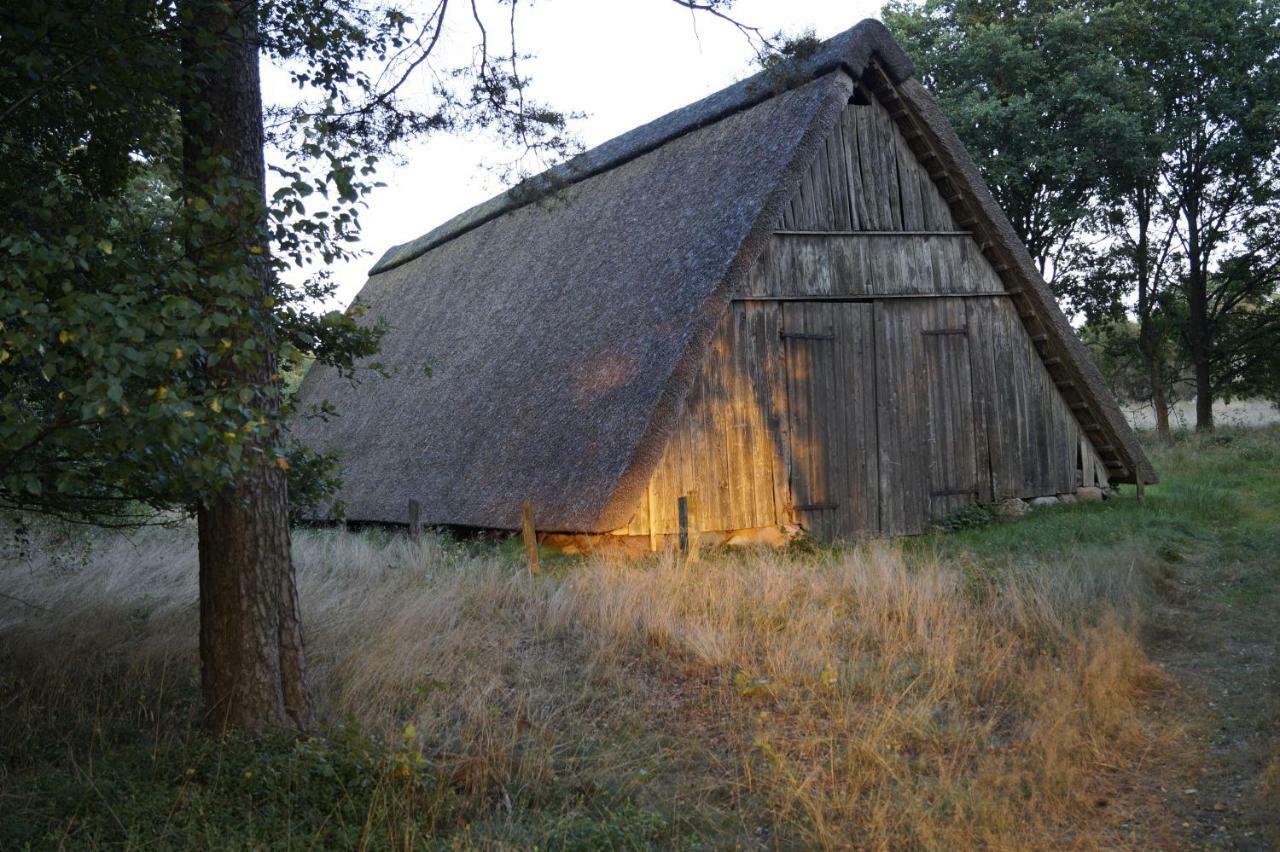 Ferienhaus Wahlers Βίλα Bispingen Εξωτερικό φωτογραφία