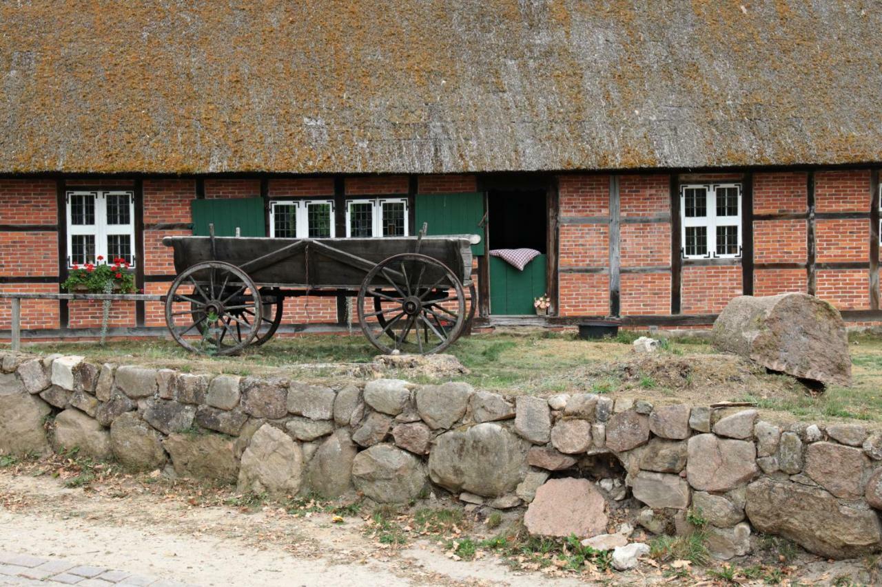 Ferienhaus Wahlers Βίλα Bispingen Εξωτερικό φωτογραφία