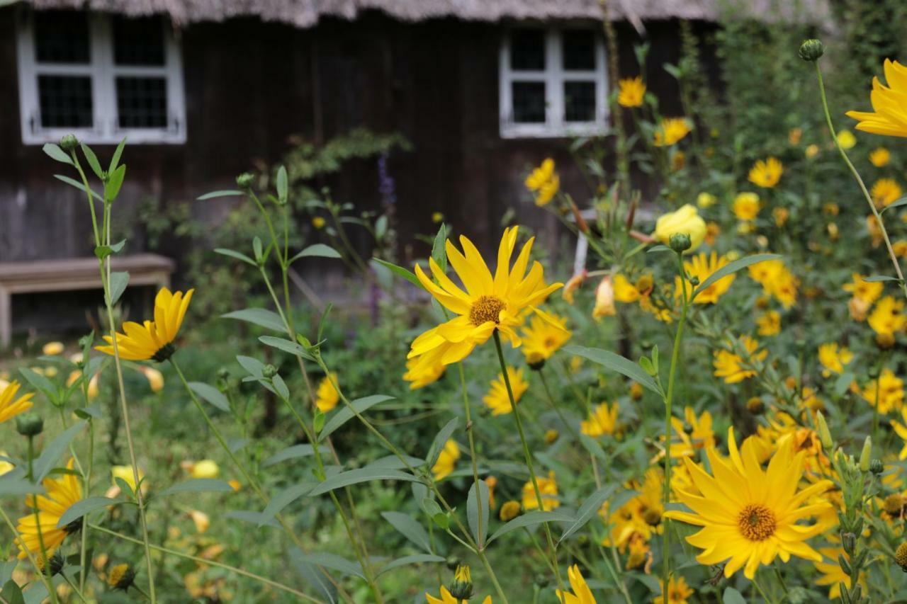 Ferienhaus Wahlers Βίλα Bispingen Εξωτερικό φωτογραφία